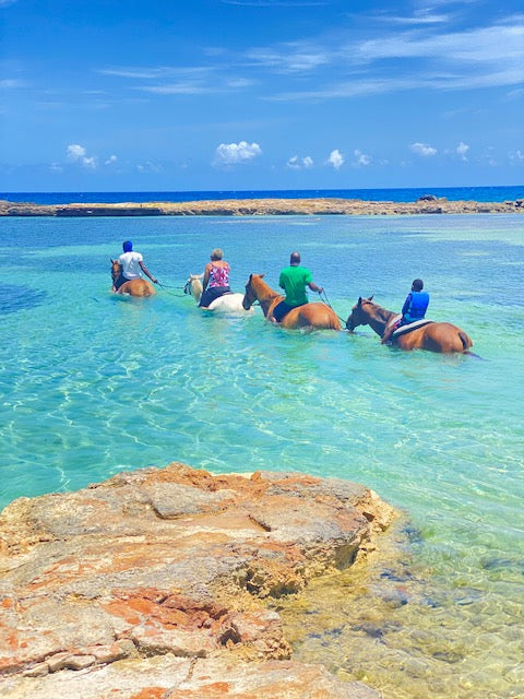 Swimming with the horses is extremely fun