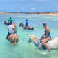 Horseback Riding, Negril & Luminous Lagoon Tour