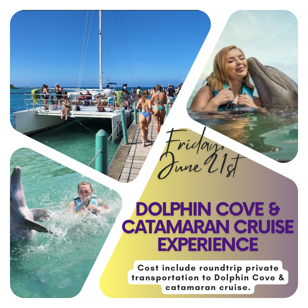 Dolphin Cove & Catamaran Cruise