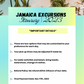 Yanessa’s Jamaica Trip