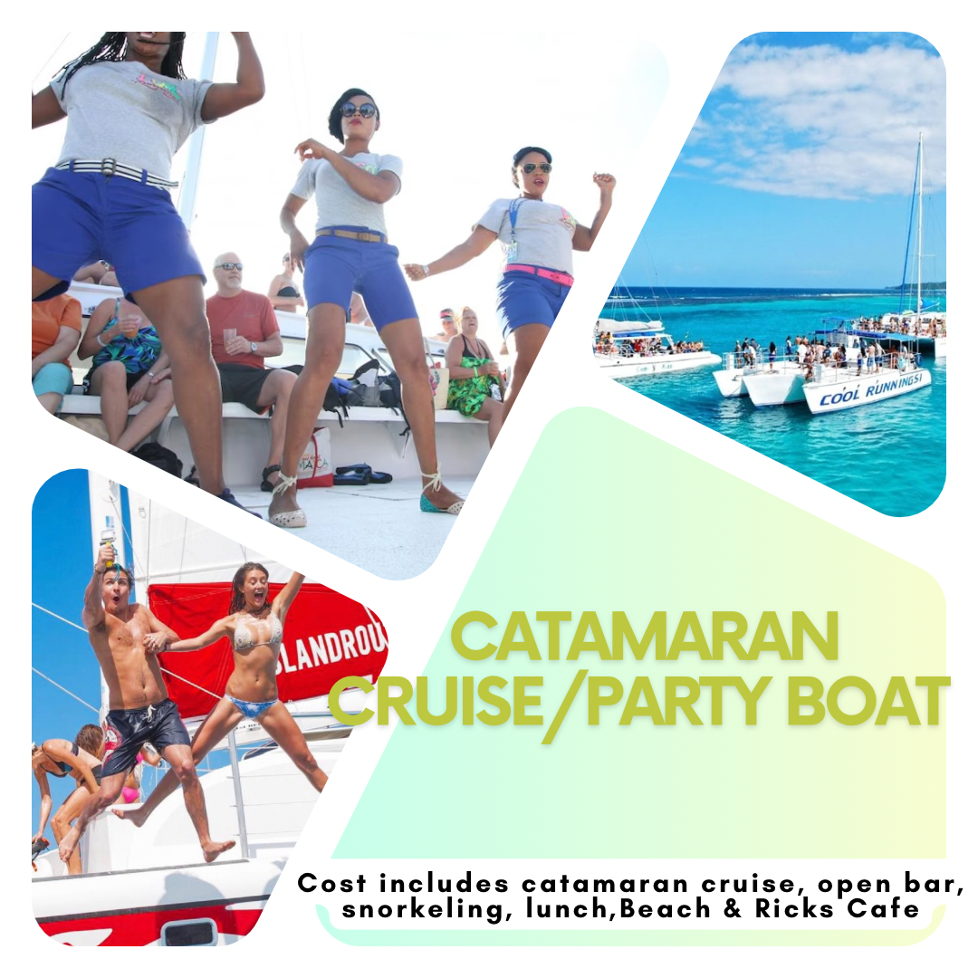 Catamaran Cruise/Party Boat