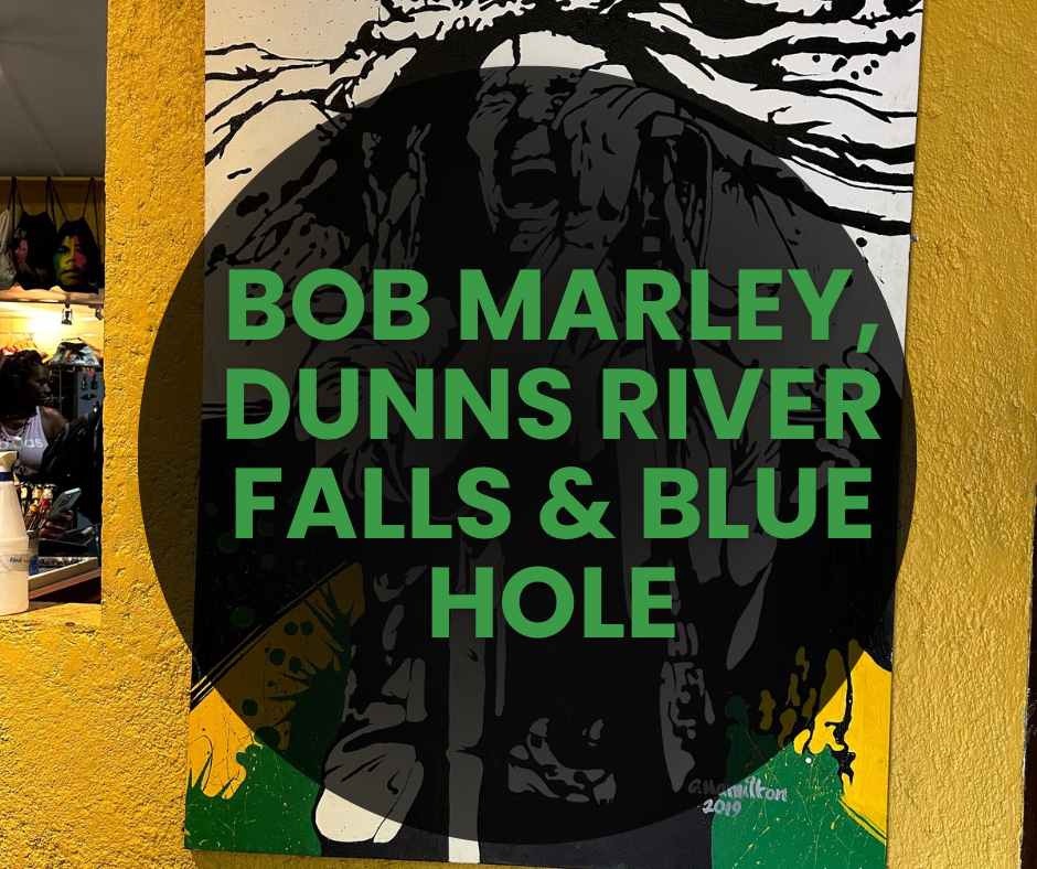 Bob Marley House, Dunn’s River Falls & Blue Hole Tour