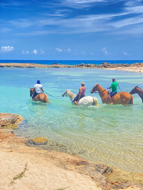 This horse back ride and swim is a great tour