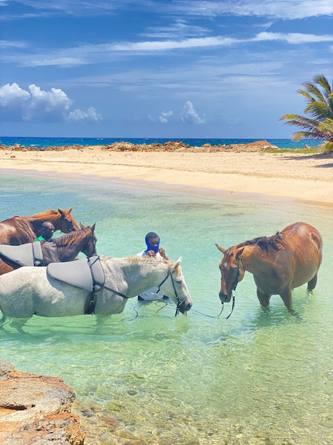 Beautiful horses in the ocean