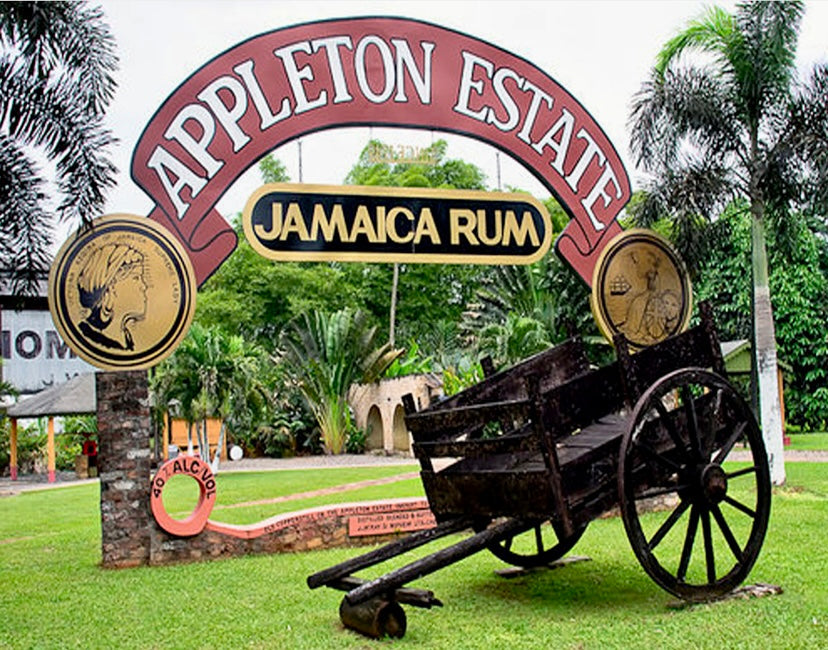 Best Rum tour in Jamaica