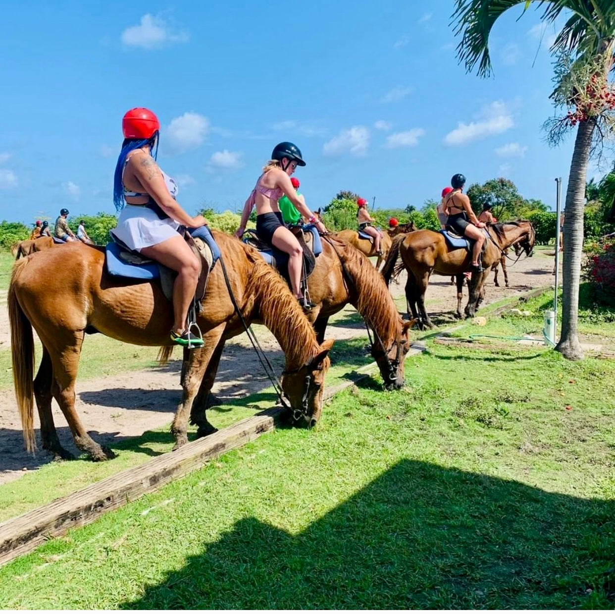 Horseback riding fun in Jamaica