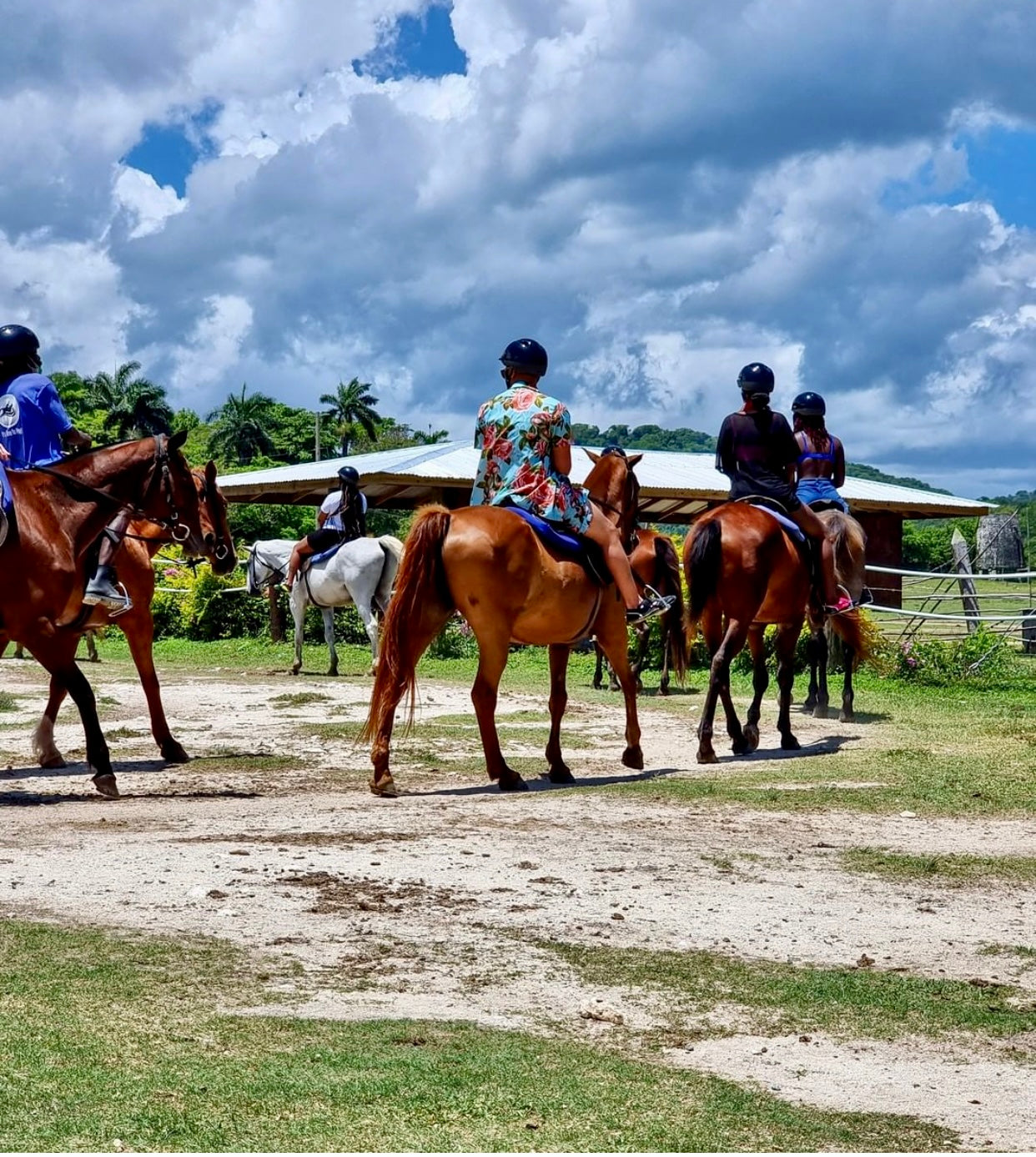 Horseback Riding in Jamaica