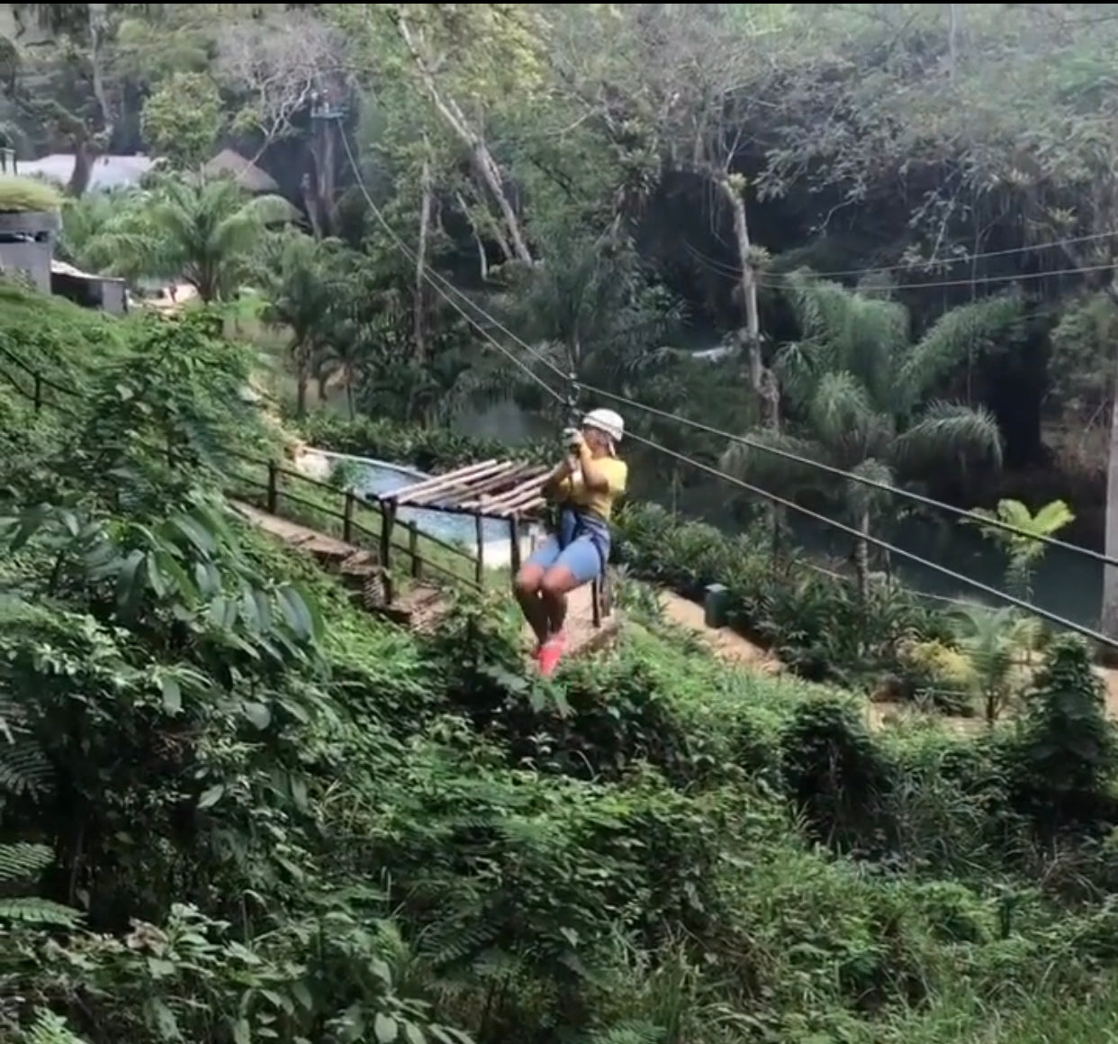 Zipline Excursion in Jamaica